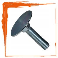 STAINLESS STEEL 304 ELEVATOR BOLTS